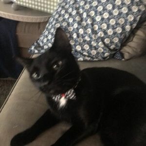 Meet your Posher, Dani